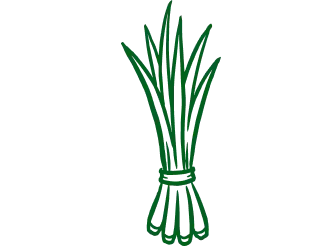 Curauá