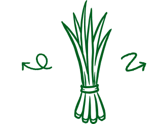 Ilustração Fibra de Curauá