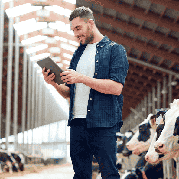 Produtor rural utilizando tablet em instalação de pecuária leiteira, representando o acesso à internet na área rural.